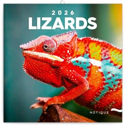 NOTIQUE Calendrier mural 2026 avec brochures de lézards - Calendrier mensuel - 30 x 30 cm (30 x 60 cm ouvert)