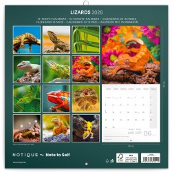 NOTIQUE Calendrier mural 2026 avec brochures de lézards - Calendrier mensuel - 30 x 30 cm (30 x 60 cm ouvert)