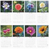 Calendrier Des Fleurs 2026-2026 Calendrier Mural, Planificateur De Calendriers Familial Hebdomadaire Tool De Planification De Da