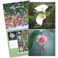 Calendrier Des Fleurs 2026-2026 Calendrier Mural, Planificateur De Calendriers Familial Hebdomadaire Tool De Planification De Da