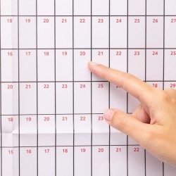 Calendrier mural 2026 - Format A1 (84 cm x 59 cm) - Affichage annuel complet - Pour la maison, le bureau, le travail - Année com