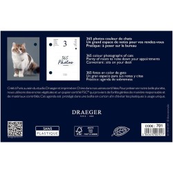 DRAEGER PARIS 1886 - Recharge Éphéméride Agenda Yvon 2024-365 Feuillets & Photos de Chats - Multilingue: Français, Anglais, Espa