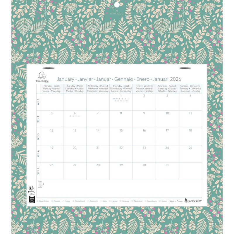 Exacompta - 33118E - Calendrier mensuel avec feuillets détachables 24 x 18cm - Sur support plaque imprimée Mini Labo 27,5 X 30,5