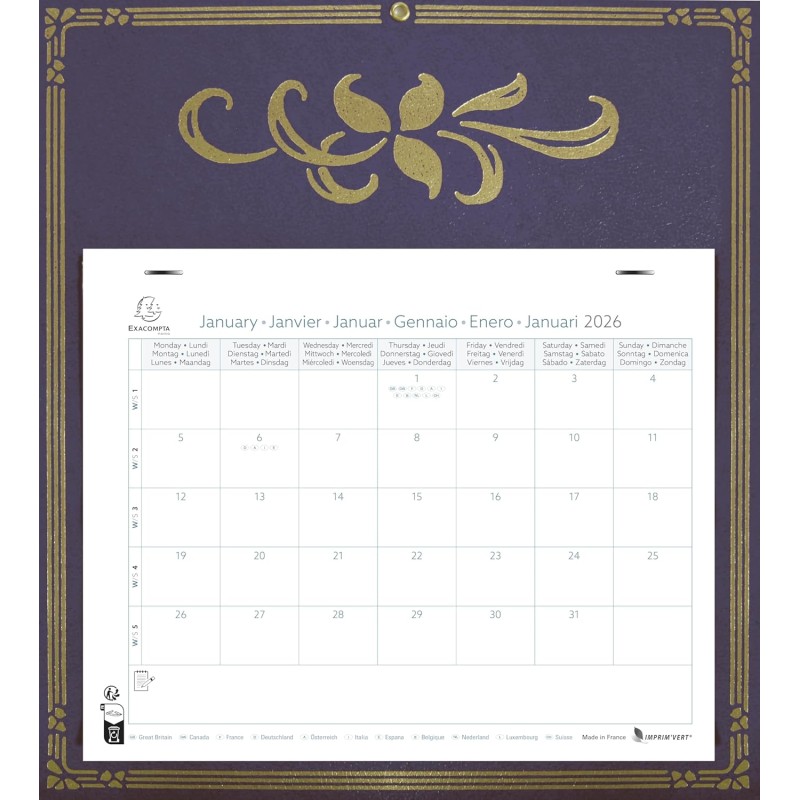 Exacompta - 33311E - Calendrier mensuel avec feuillets détachables 24 x 18 cm - Sur support plaque imprimée Skytos 27,5 x 30,5 c
