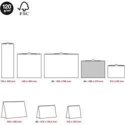 Miquelrius - Calendrier mural basique 2026, organiseur annuel A4 : 296 x 210 mm, avec espace pour noter, reliure spirale double,