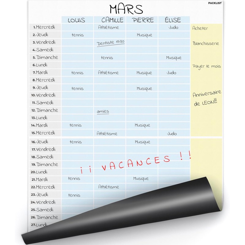 Calendrier Magnétique Familial Mensuel. Planificateur Mensuel Magnétique A3 au Design pour une bonne Planification Familiale, Tâ
