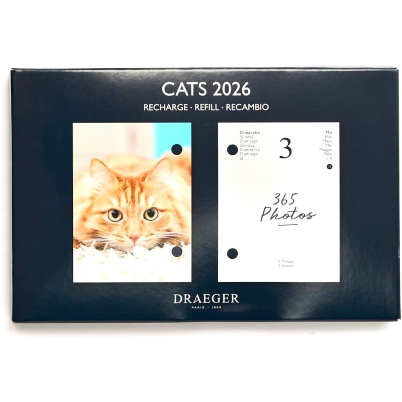DRAEGER PARIS 1886 - Recharge Agenda 16x10 cm 2026 - Thème Chats - 12 mois - Papier FSC - Illustrations détachables