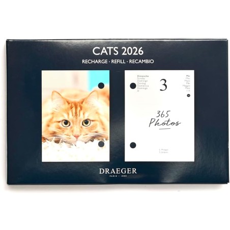 DRAEGER PARIS 1886 - Recharge Agenda 16x10 cm 2026 - Thème Chats - 12 mois - Papier FSC - Illustrations détachables