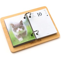 DRAEGER PARIS 1886 - Recharge Agenda 16x10 cm 2026 - Thème Chats - 12 mois - Papier FSC - Illustrations détachables