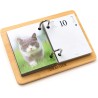 DRAEGER PARIS 1886 - Recharge Agenda 16x10 cm 2026 - Thème Chats - 12 mois - Papier FSC - Illustrations détachables