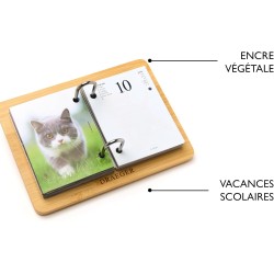 DRAEGER PARIS 1886 - Recharge Agenda 16x10 cm 2026 - Thème Chats - 12 mois - Papier FSC - Illustrations détachables