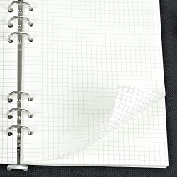 135 Feuilles A5 Recharge Papier en Quadrillé, OVISEEN Quadrillé 6 Trous Vierge Feuillets Mobiles pour Agenda Filofax A5 Bullet C