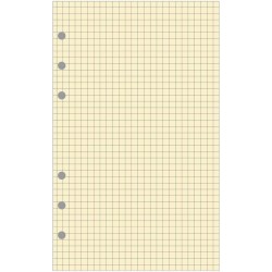 Exacompta - 28211E - Recharge Bloc de feuilles quadrillé pour organiseur Exatime 21 - 40 feuillets Ivoires