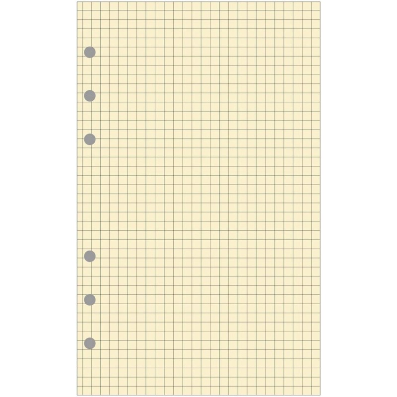 Exacompta - 28211E - Recharge Bloc de feuilles quadrillé pour organiseur Exatime 21 - 40 feuillets Ivoires