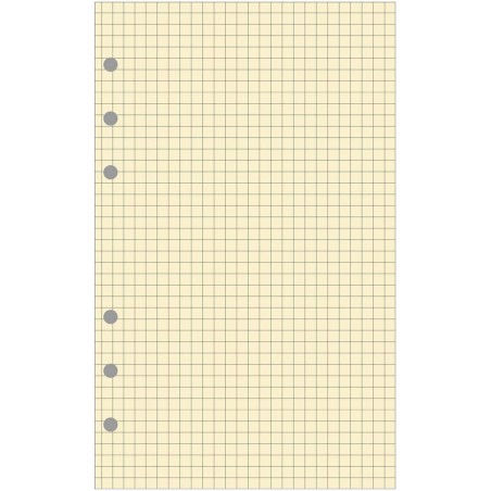 Exacompta - 28211E - Recharge Bloc de feuilles quadrillé pour organiseur Exatime 21 - 40 feuillets Ivoires