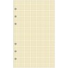 Exacompta - 28211E - Recharge Bloc de feuilles quadrillé pour organiseur Exatime 21 - 40 feuillets Ivoires
