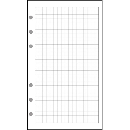 EXACOMPTA Recharge accessoire Exatime 21 quadrillé 5x5 32 feuillets 210x142 mm