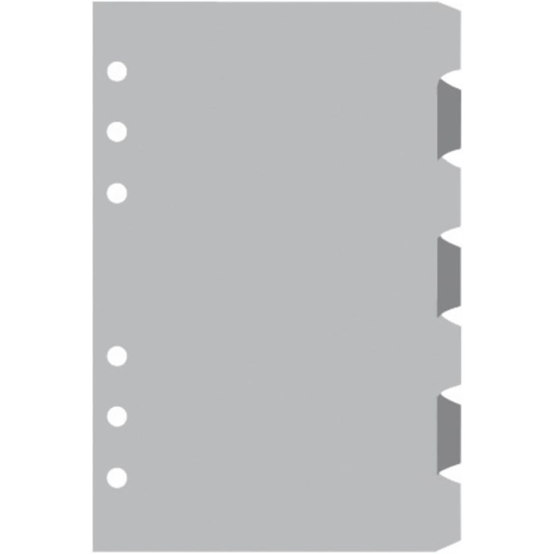 Exacompta - 14222E - Recharge intercalaires pour Organiseur Exatime 14 - Jeu de 7 intercalaires gris