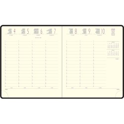 Exacompta - 18559E - Agenda semainier de bureau Eurotime 18 Amélie - 15 x 17 cm - Janvier à décembre 2026 - Coloris aléatoire