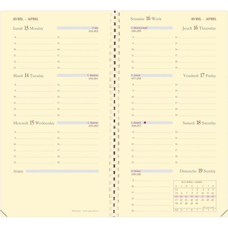 Quo Vadis - Recharge Agenda Spiralé 2026 - Planorizon S Prestige - Semainier Horizontal - Français - 12 mois 1/2 de mi-décembre 