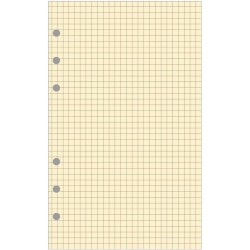 EXACOMPTA Recharge accessoire Exatime 17 bloc quadrillé chamois 40 feuillets 172x105 mm