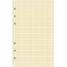 EXACOMPTA Recharge accessoire Exatime 17 bloc quadrillé chamois 40 feuillets 172x105 mm