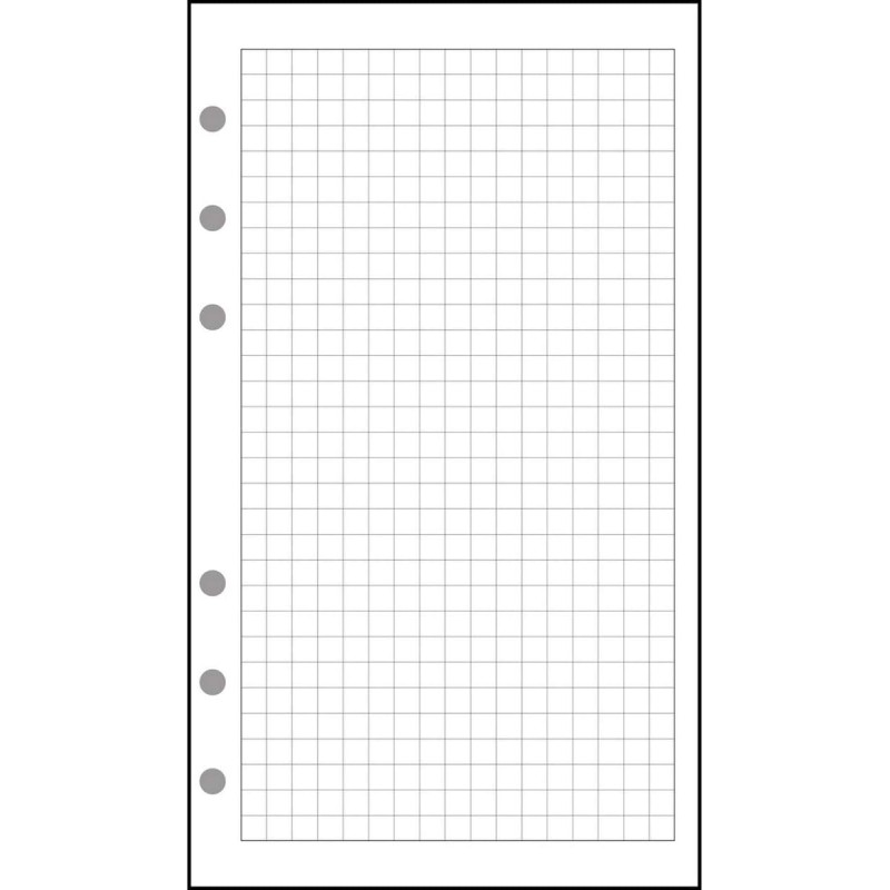 Exacompta - 18111E - Recharge Feuillets quadrillés 5x5 pour Organiseur Exatime 17 - 44 feuillets blancs