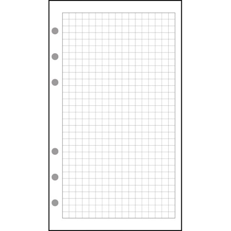 Exacompta - 18111E - Recharge Feuillets quadrillés 5x5 pour Organiseur Exatime 17 - 44 feuillets blancs