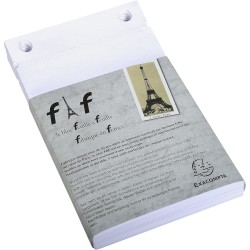 Exacompta - Réf. 12213E - Boîte de 5 recharges de bureau pour bloc FAF de 170 feuilles blanches microperforées détachables - Dim