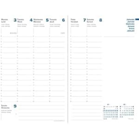 Quo Vadis - Recharge Agenda - 2026 - Ministre Recyclé - Semainier Planning - Multilingue - 13 mois de décembre à décembre - 16x2