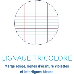 Clairefontaine 4721C Un Étui de Copies Doubles Perforées - A4 21x29,7 cm - 100 Pages Grands Carreaux - Papier Blanc 90 g - Étui 