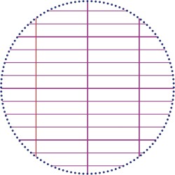 Clairefontaine 14711C Un Paquet de Copies Doubles Perforées sous Film - A4 21x29,7 cm - 300 Pages Grands Carreaux - Papier Blanc