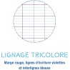 Clairefontaine 4791C Un Étui de Copies Doubles Perforées - A4 21x29,7 cm - 400 Pages Grands Carreaux - Papier Blanc 90 g - Étui 