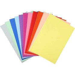EXACOMPTA Paquet 250 sous-Chemises 22 x 31 cm Super 60 Assorties 5 couleurs