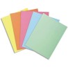 Exacompta - Réf. 850100E - Carton de 10 paquets de 100 sous-chemises SUPER 60 g/m2 aux couleurs pastel - sous chemises certifiée