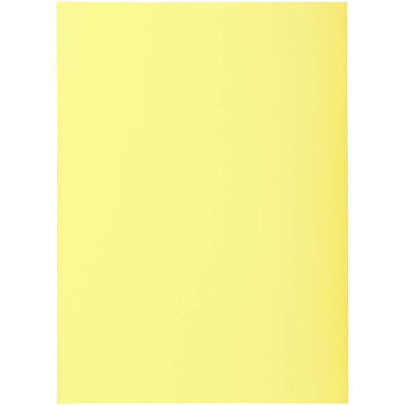 Exacompta - Réf. 850005E - Paquet de 250 sous-chemises SUPER 60 g/m2 aux couleurs pastel - sous chemises certifiées PEFC™ - dime