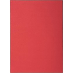 Exacompta - Réf. 850012E - Paquet de 250 sous-chemises SUPER 60 g/m2 aux couleurs pastel - sous chemises certifiées PEFC™ - dime
