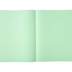 Exacompta - Réf. 850004E - Paquet de 250 sous-chemises SUPER 60 g/m2 aux couleurs pastel - sous chemises certifiées PEFC - dimen