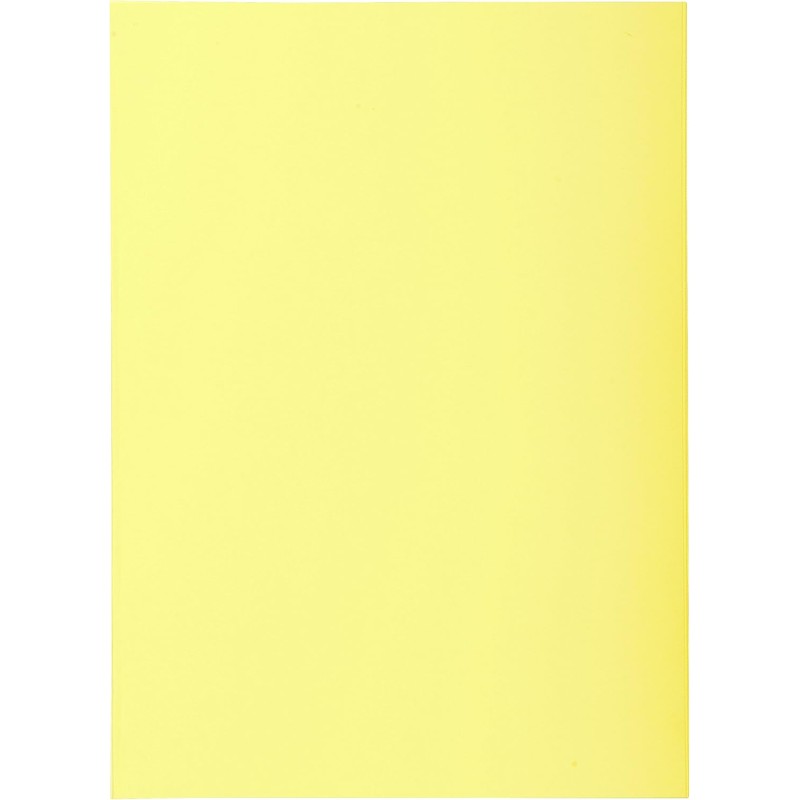 Exacompta - Réf. 850105E - Paquet de 100 sous-chemises SUPER 60 g/m2 aux couleurs pastel - sous chemises certifiées PEFC™ - dime