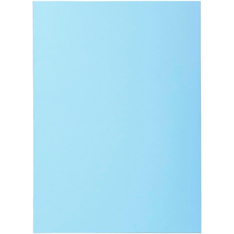 Exacompta - Réf. 850106E - Carton de 10 paquets de 100 sous-chemises SUPER 60 g/m2 aux couleurs pastel - sous chemises certifiée