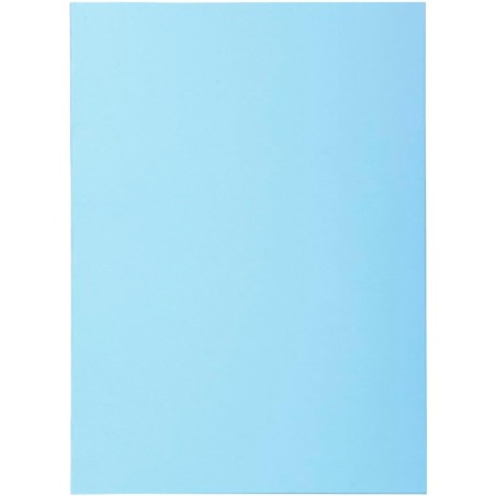 Exacompta - Réf. 850106E - Carton de 10 paquets de 100 sous-chemises SUPER 60 g/m2 aux couleurs pastel - sous chemises certifiée