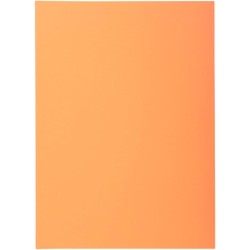 Exacompta - Réf. 850102E - Carton de 10 paquets de 100 sous-chemises SUPER 60 g/m2 aux couleurs pastel - sous chemises certifiée