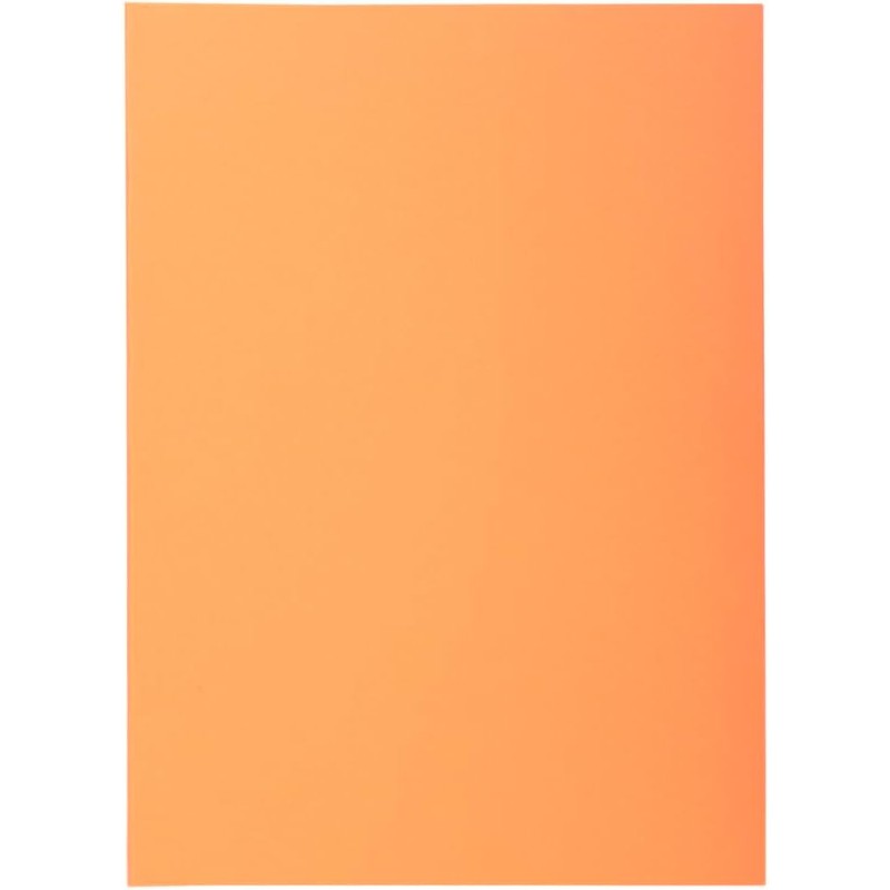 Exacompta - Réf. 850102E - Carton de 10 paquets de 100 sous-chemises SUPER 60 g/m2 aux couleurs pastel - sous chemises certifiée