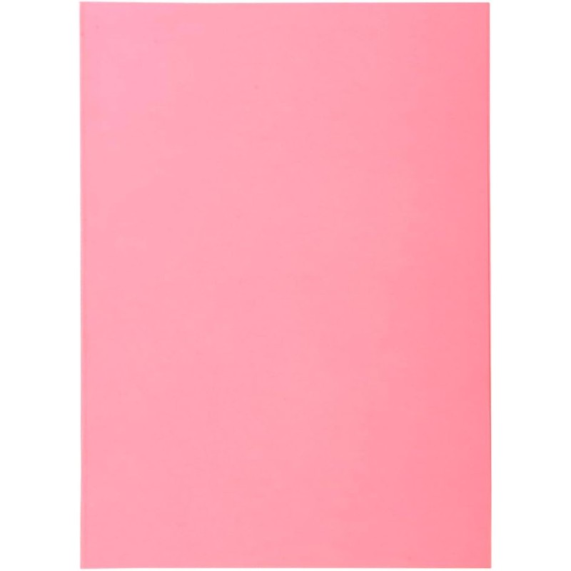 Exacompta - Réf. 850103E - Carton de 10 paquets de 100 sous-chemises SUPER 60 g/m2 aux couleurs pastel - sous chemises certifiée