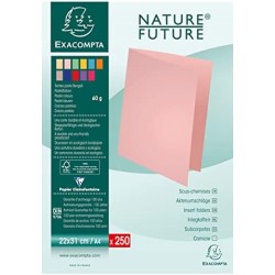 Exacompta - Réf. 850006E - Carton de 5 paquets de 250 sous-chemises SUPER 60 g/m2 aux couleurs pastel - sous chemises certifiées