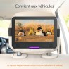 Yoton Lecteur DVD Portable Voiture 12,5" avec Écran Pvotant HD 10,5", Chargeur de Voiture, Fonction de Lecture de mémoire, Prise