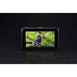 ATOMOS Moniteur Shinobi 5'