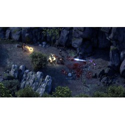 Pillars of Eternity (PlayStation 4) [UK IMPORT]