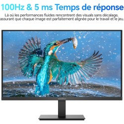 KOORUI E2412F 24 Pouces Ecran PC, FHD 1920 x 1080 100Hz Moniteur HDMI 1.4, Eye Care, inclinable de -5° à 15°, VESA 100 x 100mm