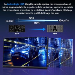 Minifire Écran Gaming 24.5 Pouces,300Hz/240Hz, QHD (2560 * 1440) réglable en Hauteur, MPRT 1ms avec Panneau Fast IPS 10 Bits, sR